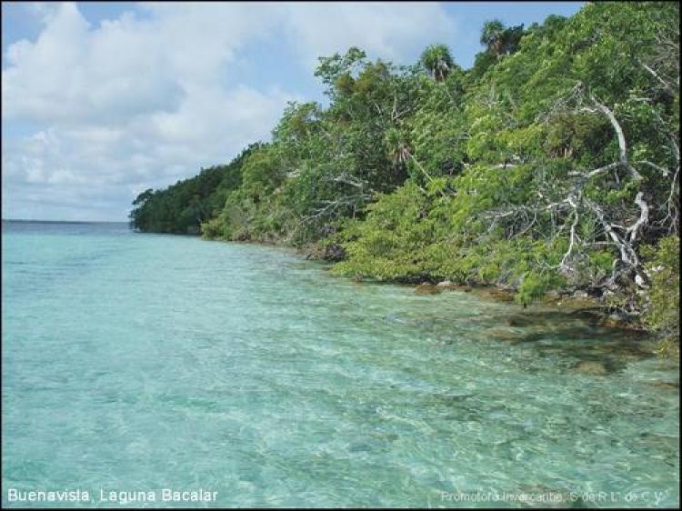 Foto Terreno en Venta en laguna salvaje sa de cv, Bacalar, Quintana Roo - $ 1.700.000 - TEV5908 - BienesOnLine