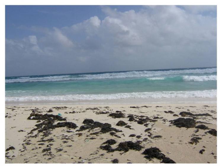 Foto Terreno en Venta en Xcalacoco, Playa del Carmen, Quintana Roo - TEV5047 - BienesOnLine