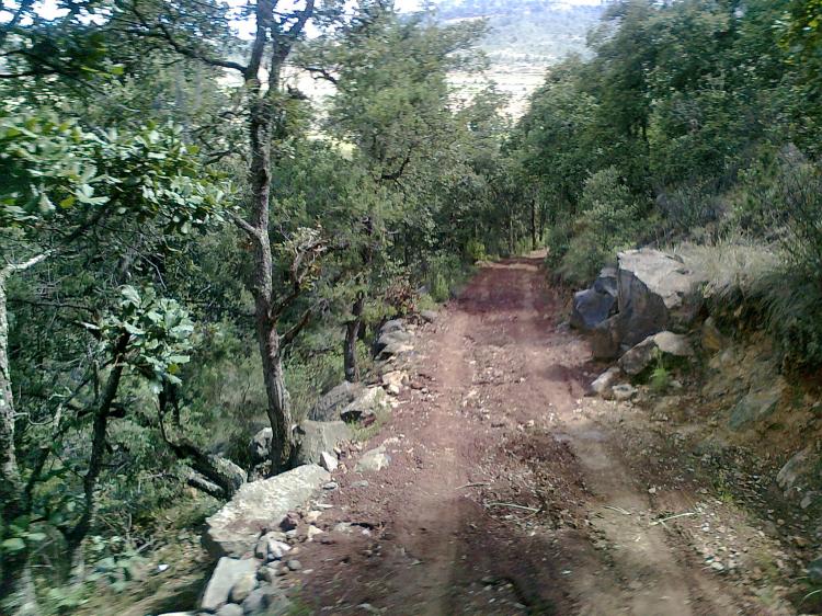 Foto Terreno en Venta en Terrenate, Tlaxcala - 108 hectareas - $ 4.400.000 - TEV24197 - BienesOnLine