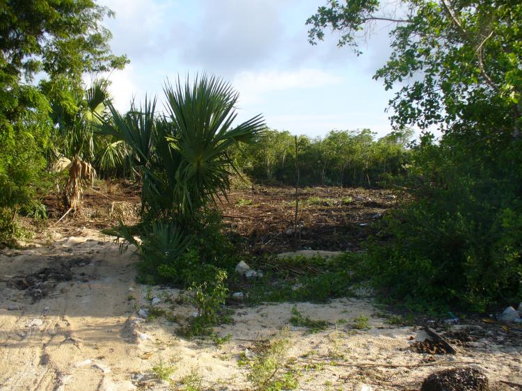 Terreno en Venta en Zona Urbana Puerto Morelos, Quintana Roo