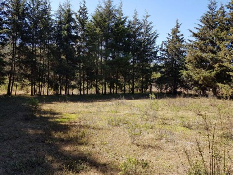 Foto Terreno en Venta en Zirahun, Michoacan de Ocampo - $ 950.000 - TEV205219 - BienesOnLine