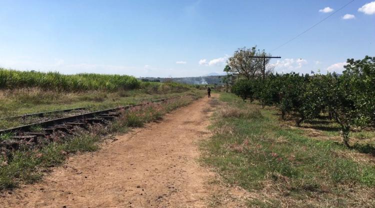 Foto Terreno en Venta en Zona Industrial Grupo Vida, Huaxtla, Jalisco - 3 hectareas - $ 25.973.780 - TEV192161 - BienesOnLine