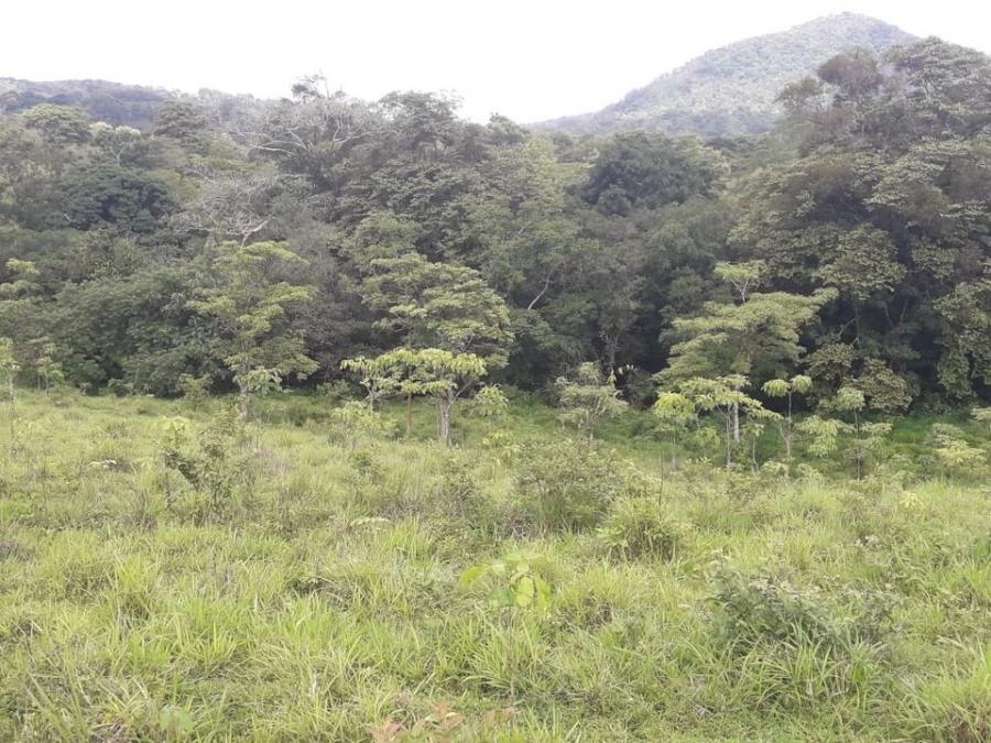 Foto Finca en Venta en km 200, El Rama, Atlntico Sur - U$D 400 - FIV491 - BienesOnLine