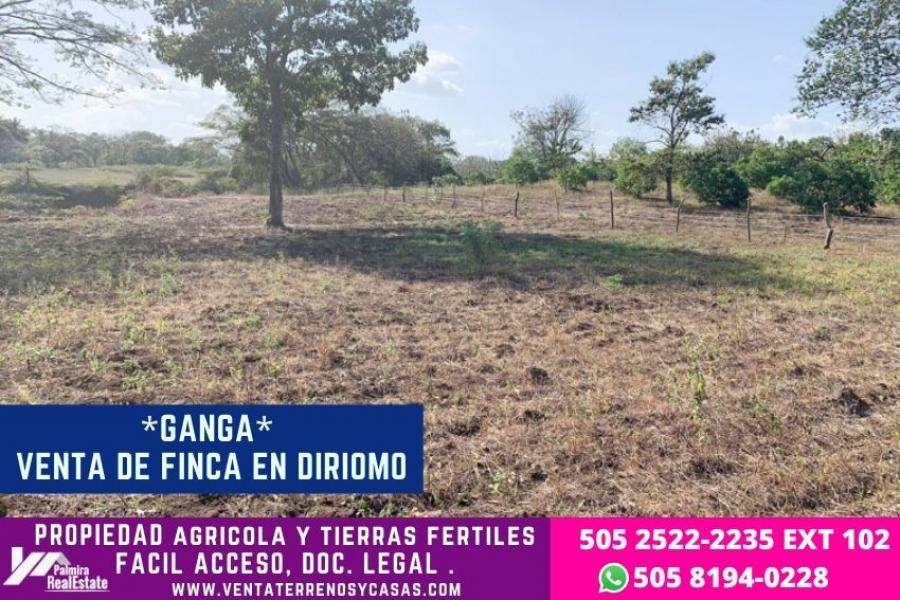 Foto Finca en Venta en Diriomo, Granada - 1 hectareas - U$D 10.000 - FIV427 - BienesOnLine