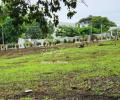 Terreno en Venta en Sector Jardines de Santo Domingo Managua
