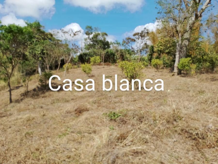 Foto Terreno en Venta en Masatepe, Masaya - U$D 24.000 - TEV1048 - BienesOnLine