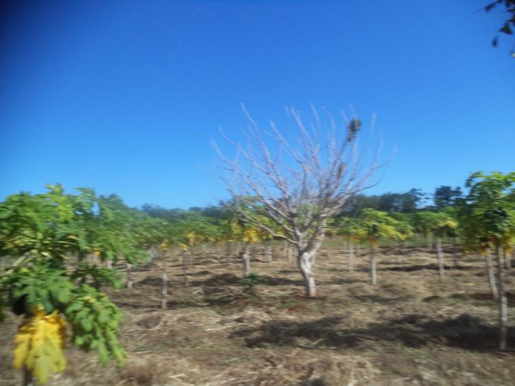 Foto Finca en Venta en Tisma, Tisma, Masaya - 9 hectareas - U$D 126.000 - FIV47 - BienesOnLine