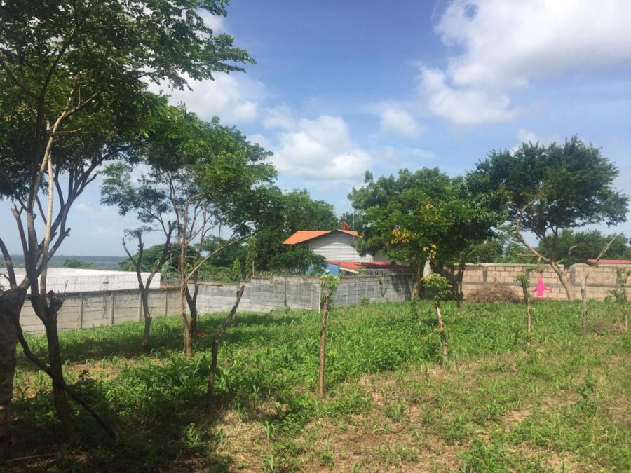 Foto Terreno en Venta en Nindirí, Masaya - U$D 31.640 - TEV1230 - BienesOnLine