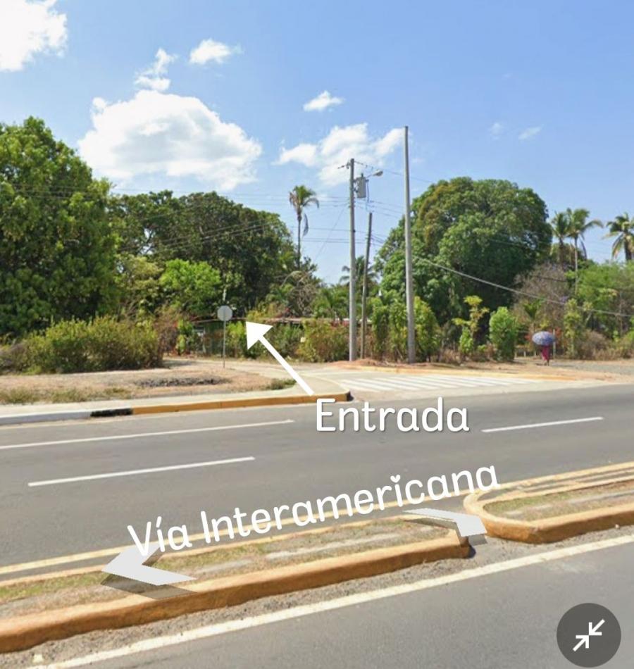 Foto Terreno en Venta en Rio Hato, Antón, Coclé - 2 hectareas - TEV78480 - BienesOnLine