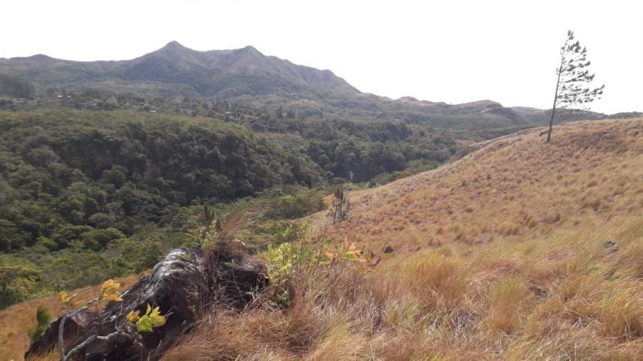 Foto Terreno en Venta en Cabuya, Antón, Coclé - 7 hectareas - U$D 1.950.000 - TEV79674 - BienesOnLine
