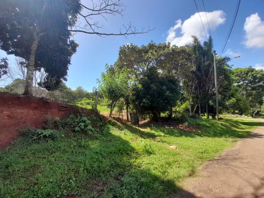 Foto Terreno en Venta en Cristobal, Escobal, Colón - U$D 15.000 - TEV82249 - BienesOnLine