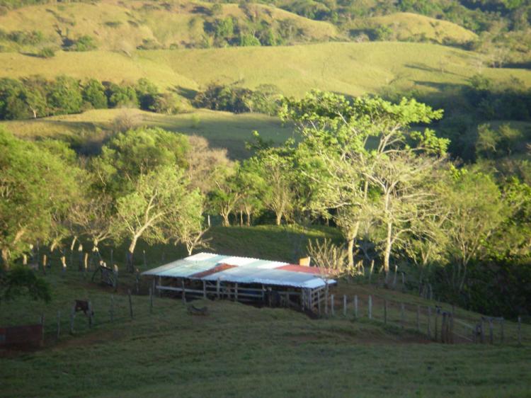 Foto Finca en Venta en Gualaca, Gualaca, Chiriqu - 200 hectareas - U$D 1.500.000 - FIV3504 - BienesOnLine