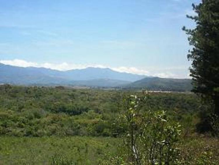 Foto Terreno en Venta en POTRERILLOS, Potrerillos, Chiriqu - 2 hectareas - U$D 190.000 - TEV1482 - BienesOnLine
