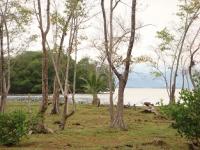 Terreno en Venta en BOCAS DEL TORO Bocas del Toro