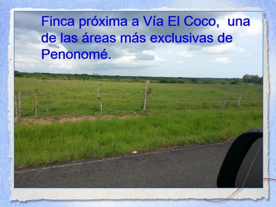 Foto Terreno en Venta en Miraflores, El Coco, Cocl - 47 hectareas - U$D 3.517.605 - TEV45953 - BienesOnLine