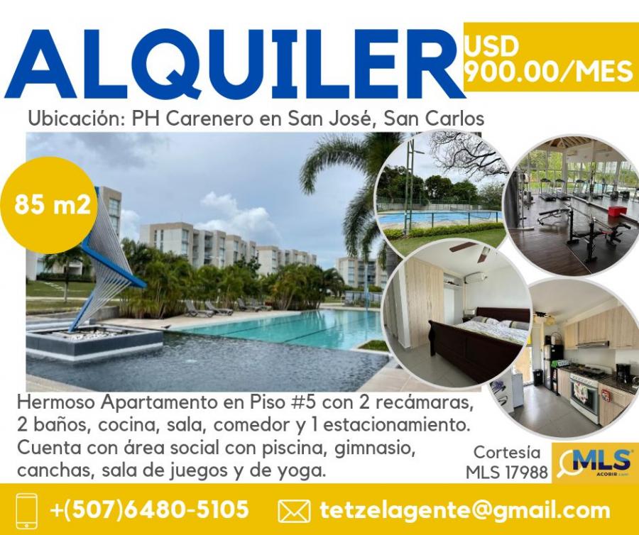 Foto Apartamento en Alquiler en San Jose, San Carlos, Panam - U$D 900 - APA65131 - BienesOnLine