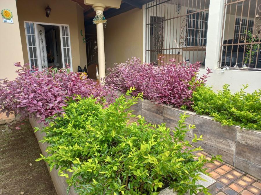 Foto Casa en Alquiler en BRISAS DEL GOLF, San Miguelito, Panam - U$D 1.350 - CAA62650 - BienesOnLine