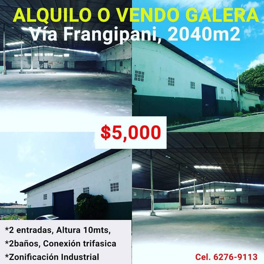 Foto Galera en Alquiler en Ancon Ave. Frangipani, Panama, Panam - U$D 5.000 - GAA26199 - BienesOnLine