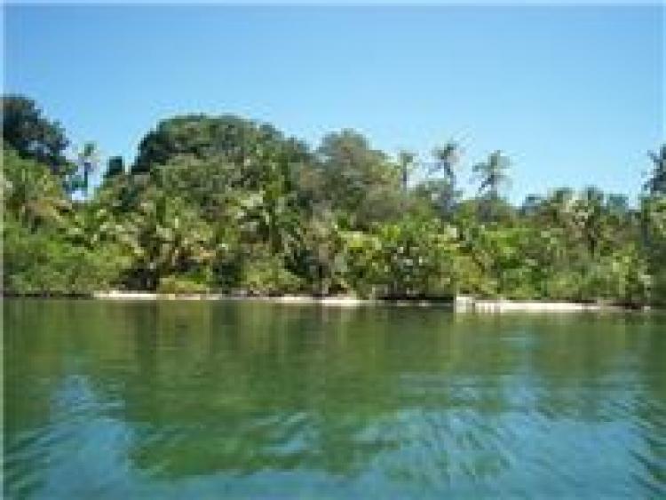 Foto Terreno en Venta en Bastimentos, Bocas del Toro - 1 hectareas - U$D 425 - TEV1004 - BienesOnLine