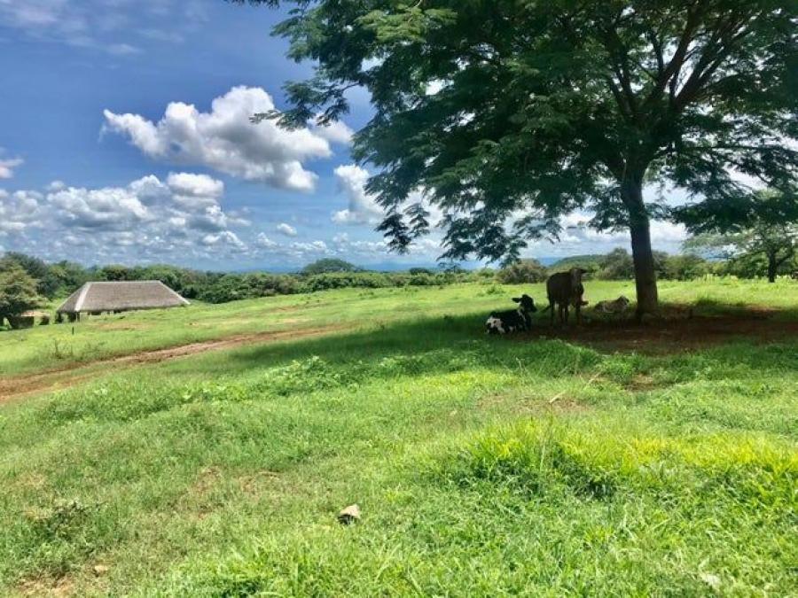 Foto Terreno en Venta en Chitre, Chitr, Herrera - U$D 1.530.000 - TEV66497 - BienesOnLine