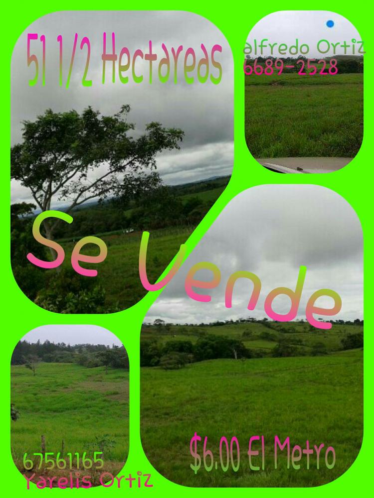 Foto Finca en Venta en las mendozas, La Chorrera, Panam - 51 hectareas - U$D 600 - FIV3663 - BienesOnLine