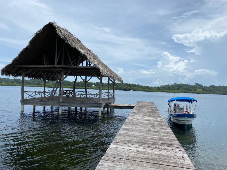 Foto Finca en Venta en Tierra Oscura, Bocas del Toro - 14 hectareas - U$D 2.050.000 - FIV66486 - BienesOnLine