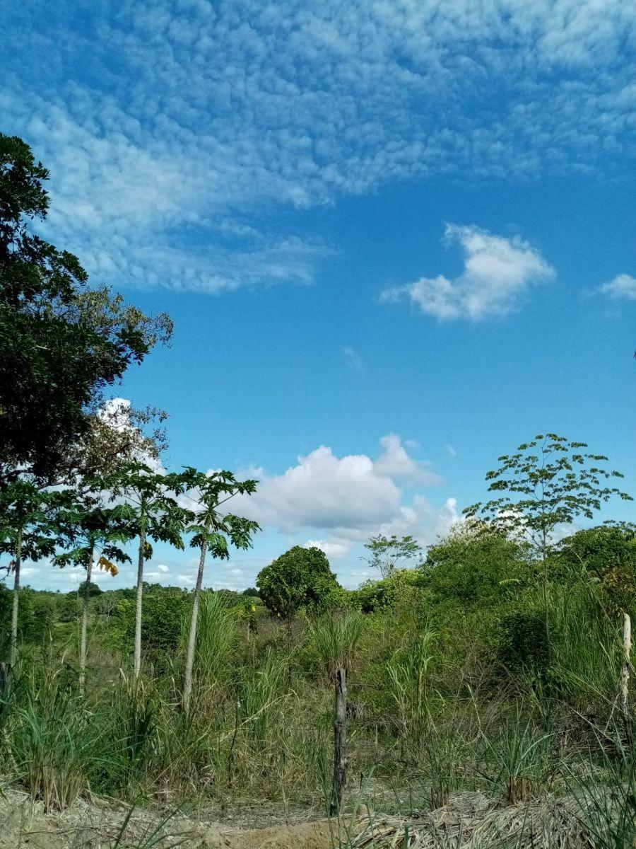 Foto Finca en Venta en La Hermita, La Hermita, Panam - 2 hectareas - U$D 600.000 - FIV50227 - BienesOnLine