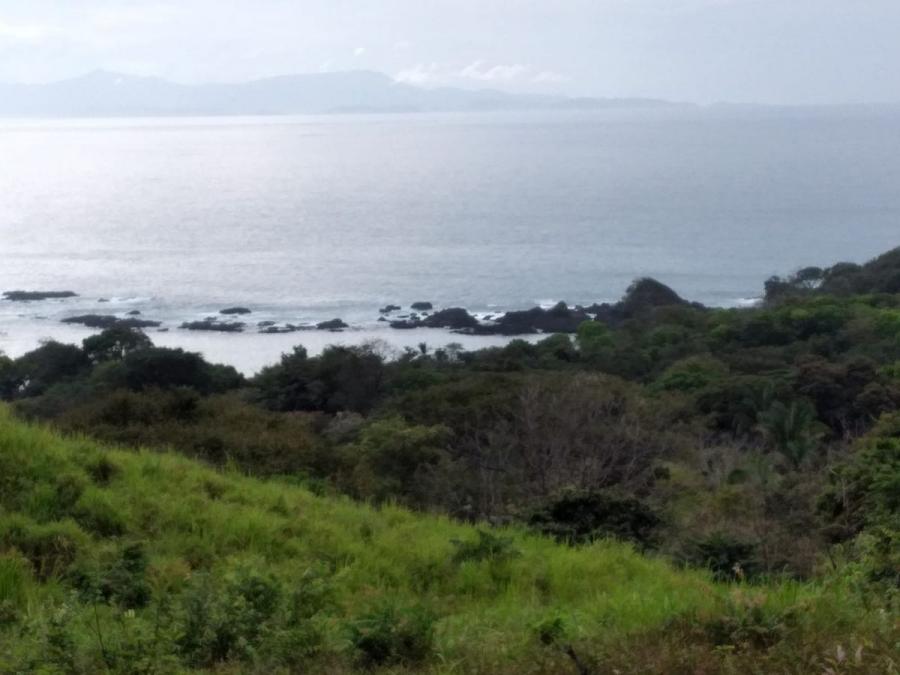 Foto Finca en Venta en Cébaco, Cébaco, Veraguas - 82 hectareas - FIV79095 - BienesOnLine