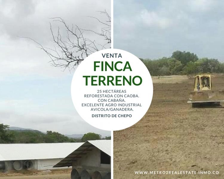 Foto Finca en Venta en Espave, Panam - 25 hectareas - U$D 795.000 - FIV20895 - BienesOnLine