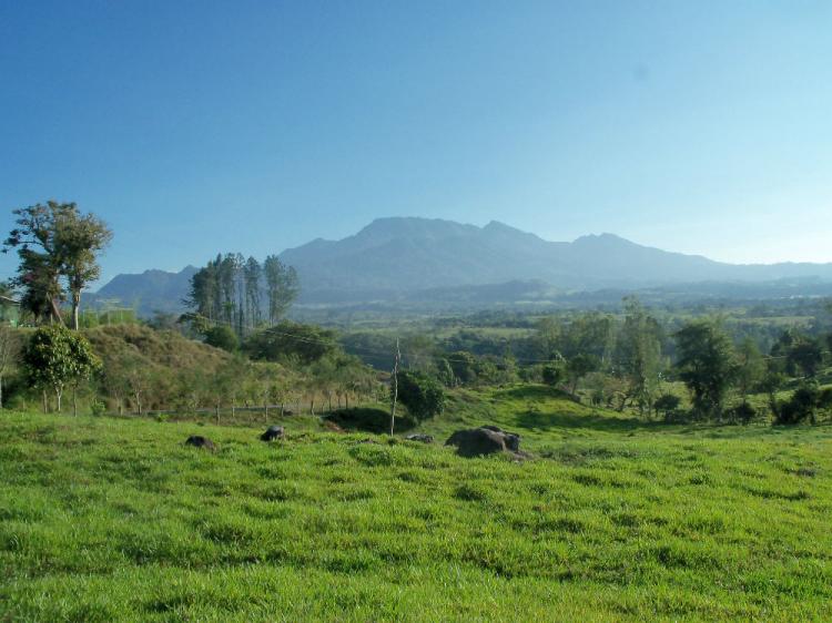 Foto Finca en Venta en Bugaba-Cuesta de Piedra, Bugaba, Chiriqu - U$D 159.900 - FIV3483 - BienesOnLine