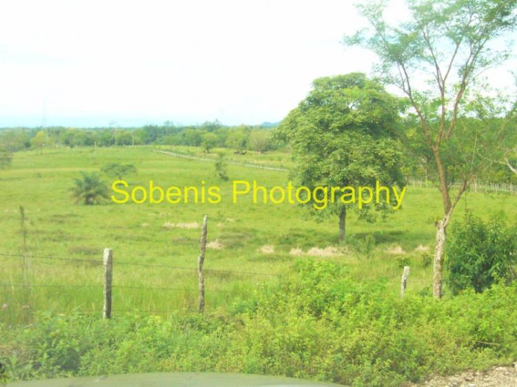 Foto Finca en Venta en Bugaba, Chiriqu - 55 hectareas - U$D 577.500 - FIV1512 - BienesOnLine