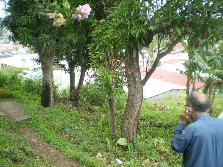 Foto Terreno en Venta en Ro Abajo, Panam - U$D 28.000 - TEV18 - BienesOnLine