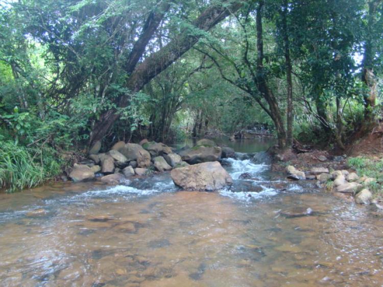 Foto Finca en Venta en calobre, calobre, Veraguas - 10 hectareas - U$D 80.000 - FIV19082 - BienesOnLine