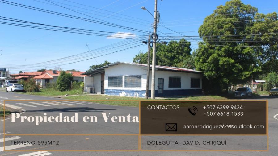 Foto Terreno en Venta en Doleguita, doleguita, Chiriqu - U$D 375.000 - TEV64113 - BienesOnLine