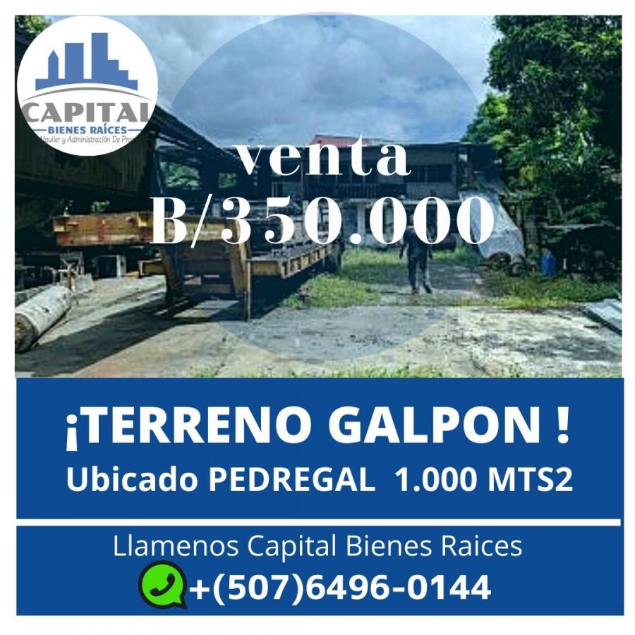 Foto Terreno en Venta en Pedregal, Panam - U$D 350.000 - TEV32623 - BienesOnLine