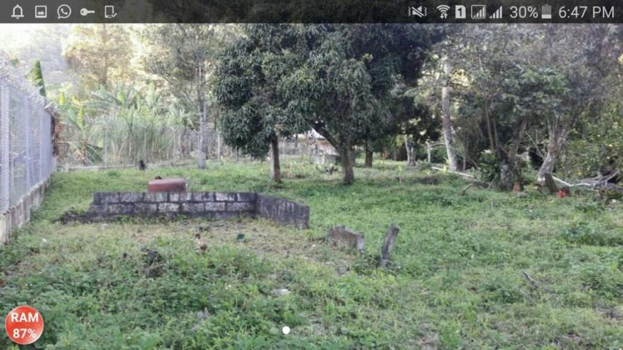 Foto Terreno en Venta en Las Flores, Bajo lino Boquete, Chiriqu - 1 hectareas - U$D 500.000 - TEV28078 - BienesOnLine