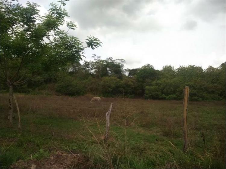 Foto Terreno en Venta en Chame, Panam - 5 hectareas - U$D 1.750.000 - TEV4708 - BienesOnLine