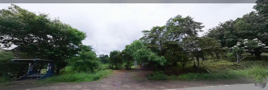 Foto Terreno en Venta en Torti, Chepo, Panam - 3 hectareas - U$D 2.400.000 - TEV61244 - BienesOnLine