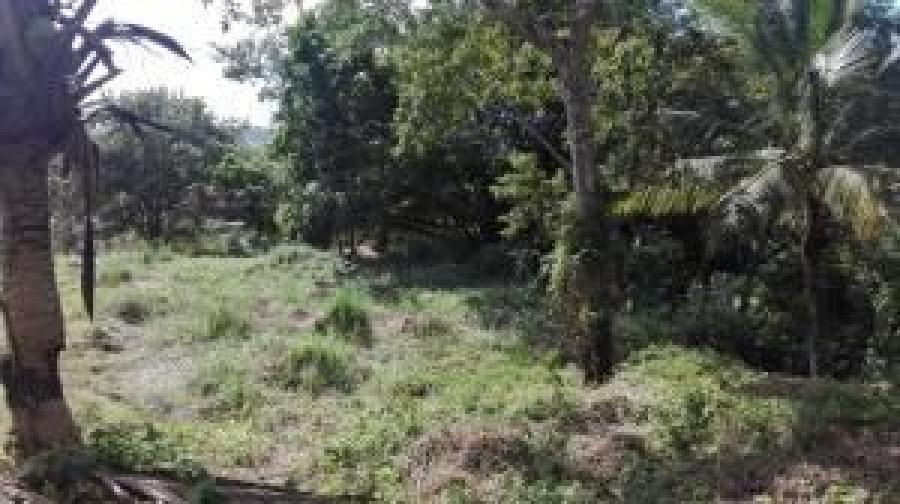 Foto Terreno en Venta en Las Cumbres, Las Cumbres, Panam - U$D 75.000 - TEV66952 - BienesOnLine