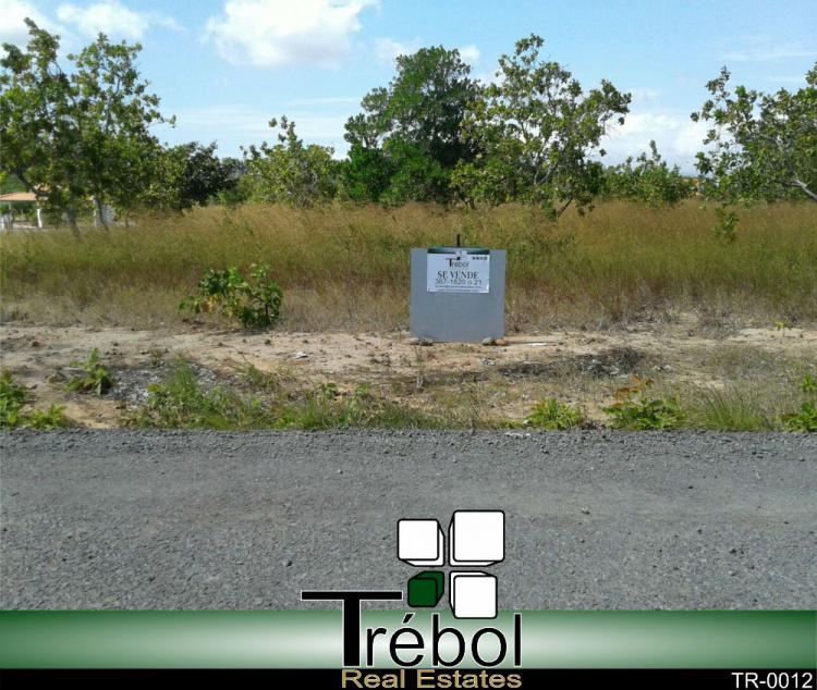 Foto Terreno en Venta en Coronado, Chame, Panam - 1 hectareas - U$D 90.000 - TEV4256 - BienesOnLine