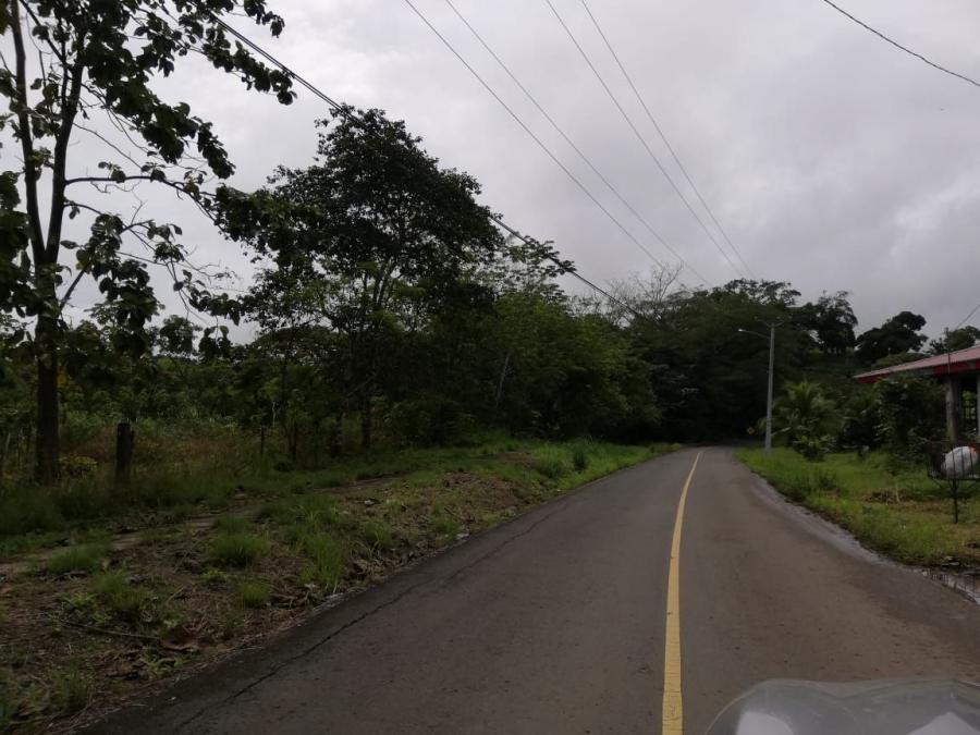 Foto Terreno en Venta en Don Bosco, Chilibre, Panam - 4 hectareas - U$D 1.200.000 - TEV61618 - BienesOnLine