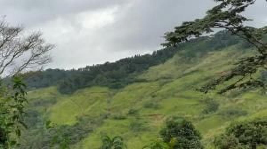 Foto Terreno en Venta en Cerro Azul, Panam - U$D 1.925.000 - TEV57235 - BienesOnLine