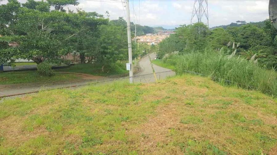 Foto Terreno en Venta en Las Mañanitas, Panamá - U$D 150.000 - TEV62529 - BienesOnLine
