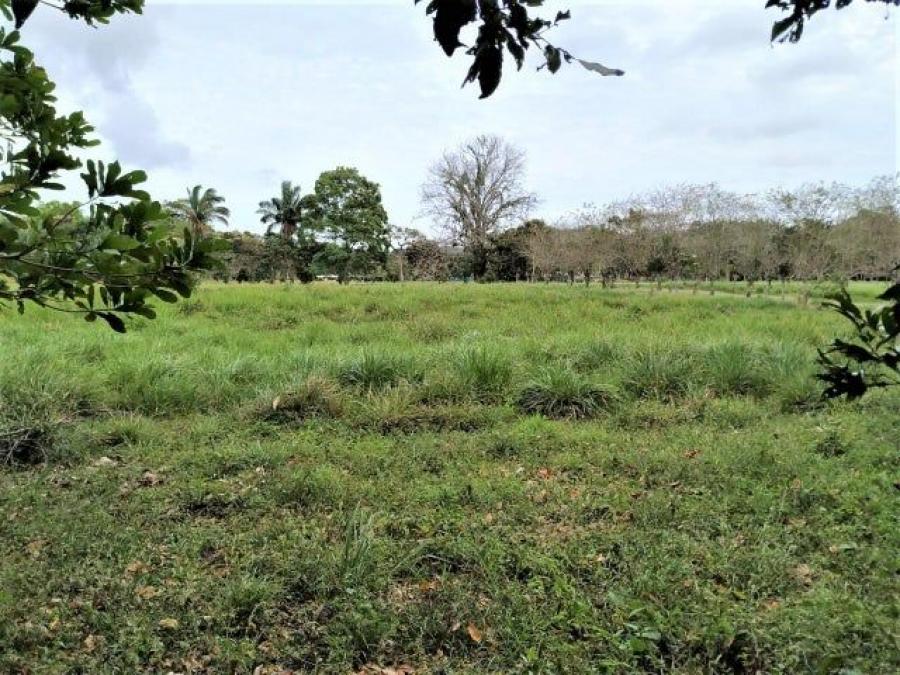 Foto Terreno en Venta en La Chorrera, Ciudad de Panamá, Panamá - U$D 150.000 - TEV79772 - BienesOnLine