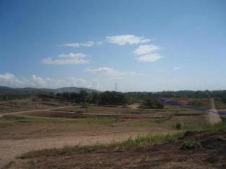 Foto Terreno en Venta en Pedregal, Panam, Pedregal, Panam - 14 hectareas - U$D 1.422.000 - TEV1472 - BienesOnLine