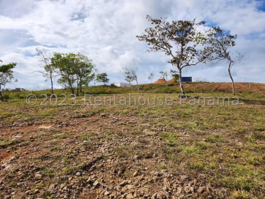 Foto Terreno venta Penonome 23-6668 MART 