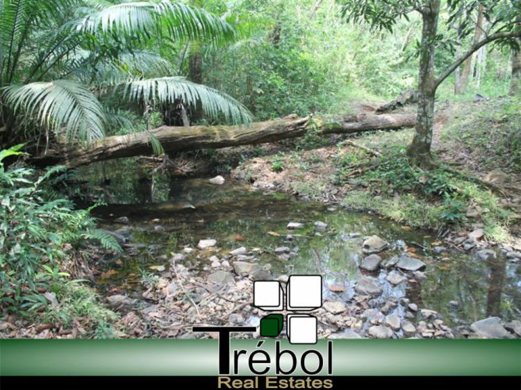 Foto Terreno en Alquiler en Chilibre, Panam - 26 hectareas - U$D 1.500 - TEA10182 - BienesOnLine