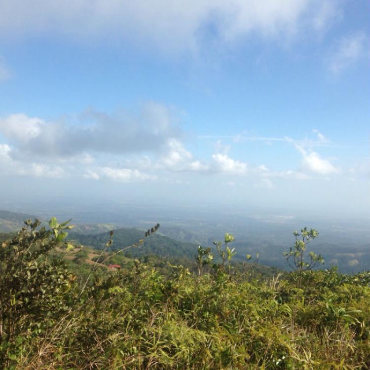 Foto Finca en Venta en Pacora, Panamá - 15 hectareas - U$D 400.000 - FIV1205 - BienesOnLine