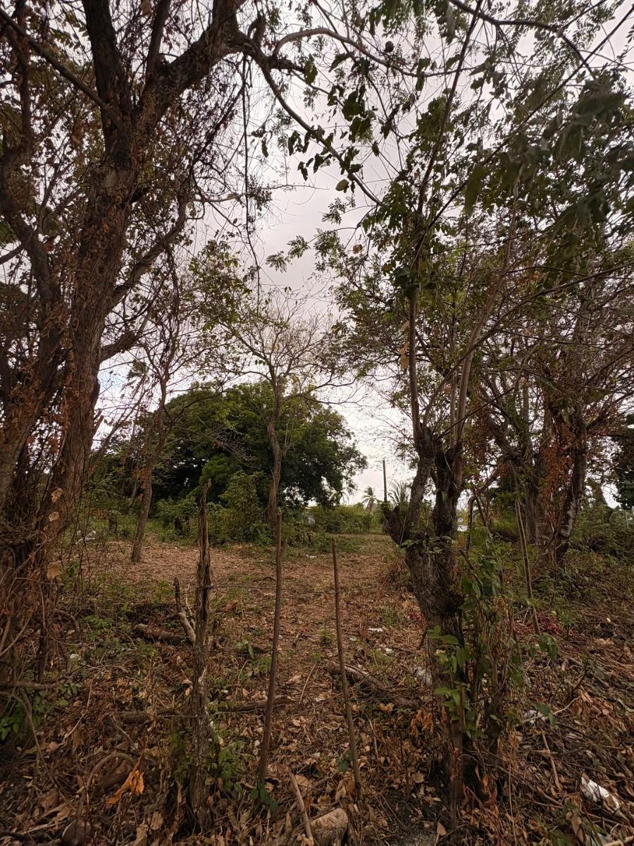 Foto Terreno en Venta en Bejuco, Chame, Panamá Oeste - U$D 99.000 - TEV83900 - BienesOnLine