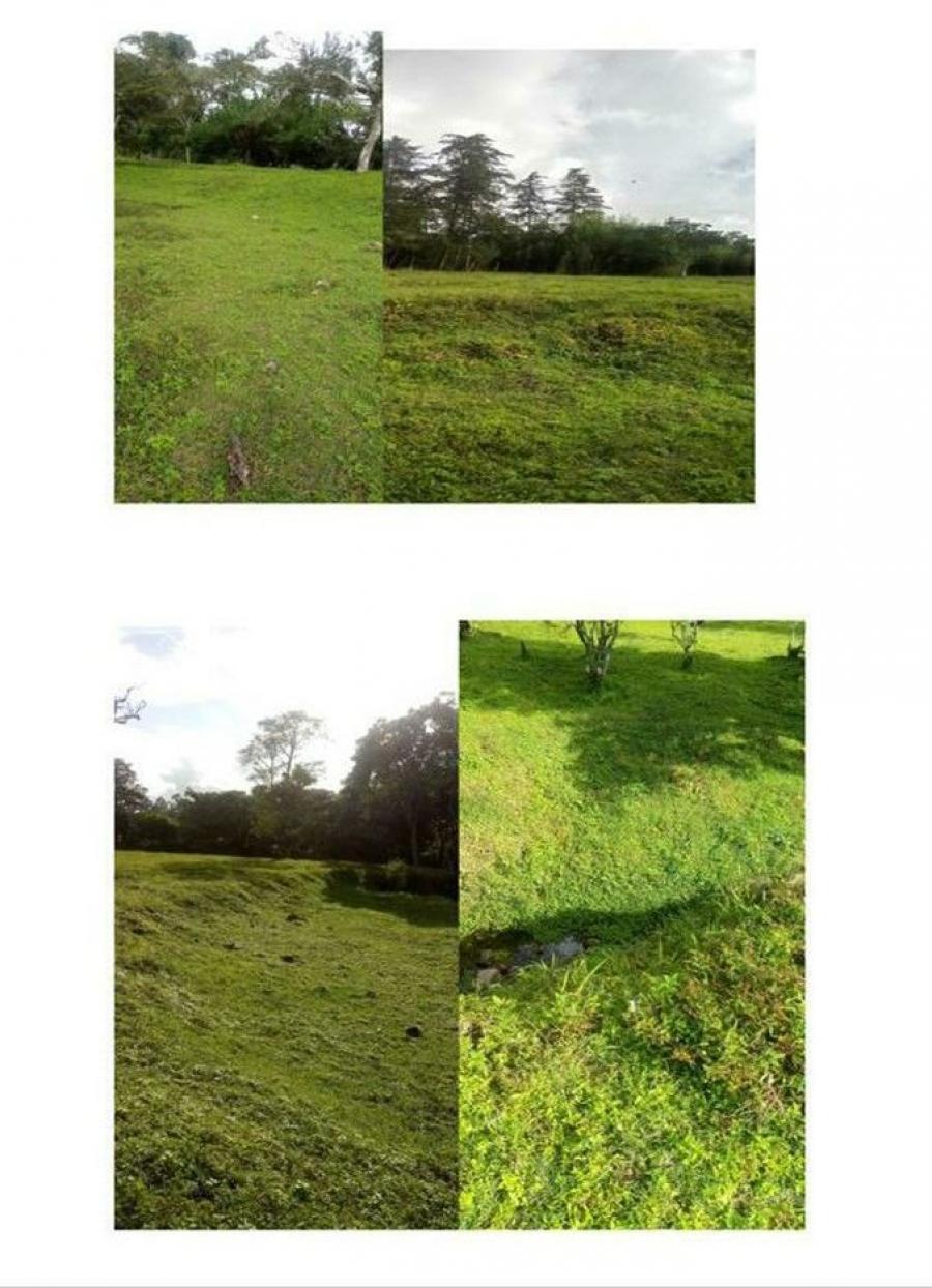 Foto Terreno en Venta en PANAMA, Chiriquí - U$D 218.000 - TEV64904 - BienesOnLine